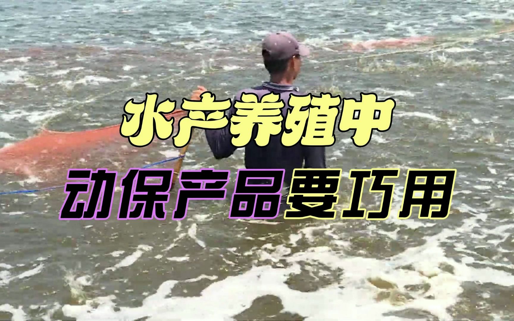 水产养殖中，动保产品要巧用，要妙用！