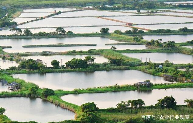 水产养殖迎来大考!国家定调:绿色养殖